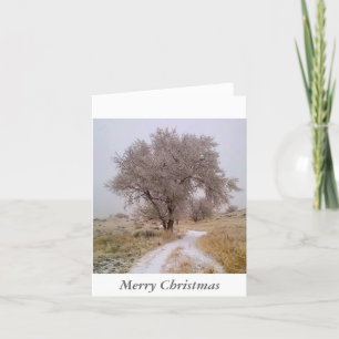Hiver dans la carte de Noël du Colorado
