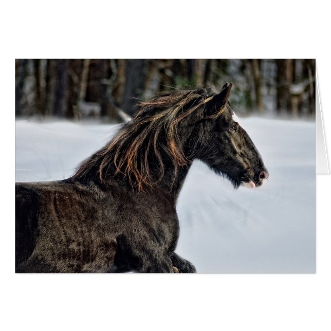 Hiver de Brenda Lee (Devant horizontal)