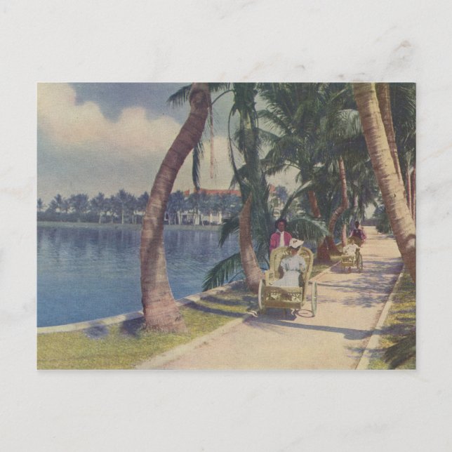 Hiver en Floride, 1908 Carte postale (Devant)