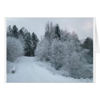 hiver joie route enneigée estonie
