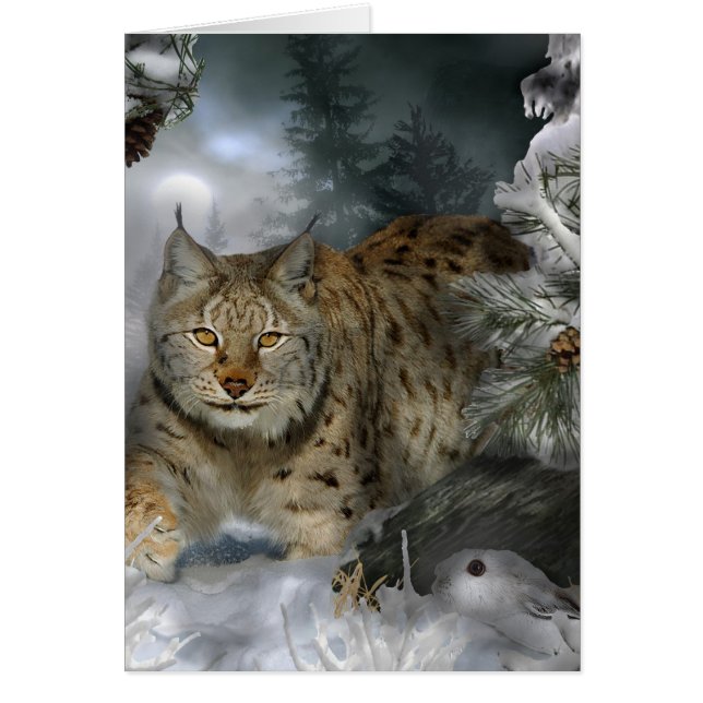 Hiver Lynx (Devant)