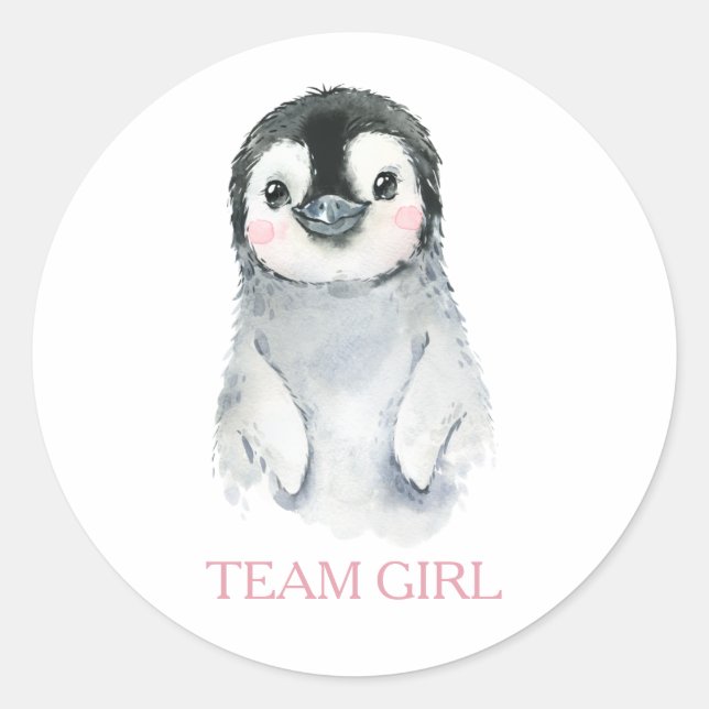 Hiver Penguin Team Girl Genre Reveal Jeu Étiquette (Devant)