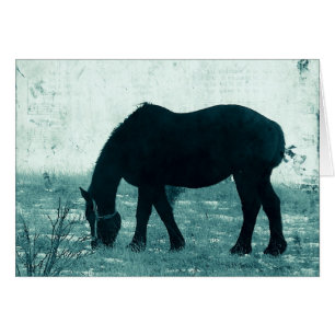 Hiver Percheron