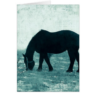 Hiver Percheron