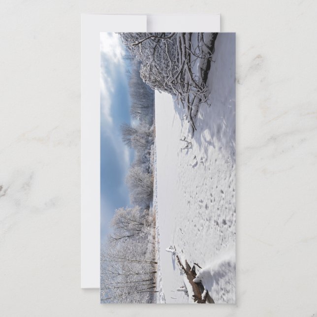 hiver pittoresque le long de l'étang et des forêts (Devant)