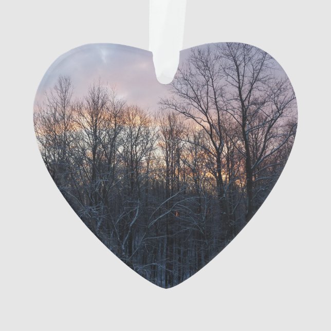 Hiver Sunrise I Pastel Paysage naturel (dos)