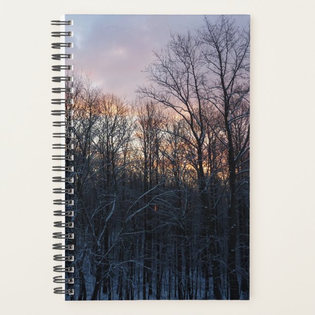 Hiver Sunrise I Pastel Paysage naturel (Devant)