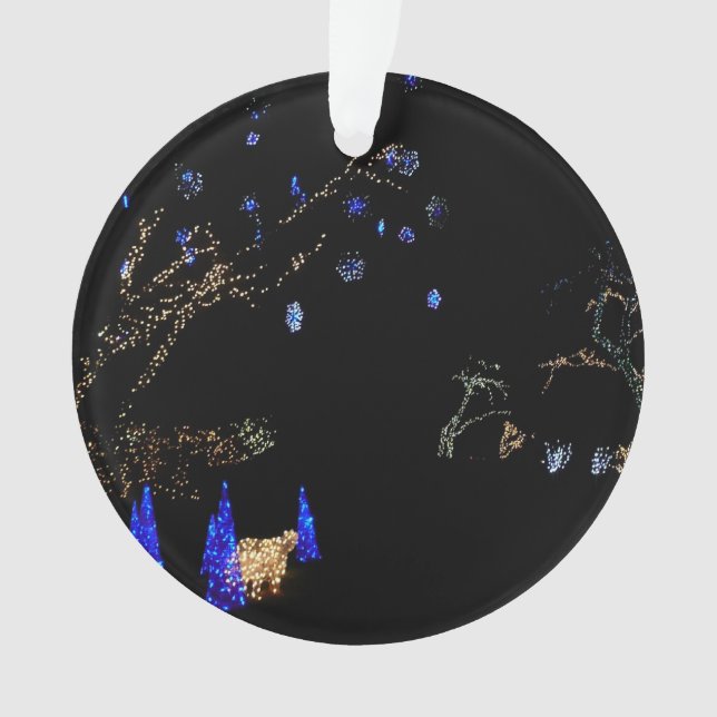 Hiver Wonderland Lumières Bleu et blanc Vacances (devant)