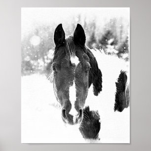 Hivernal Cheval Equine Animaux B&W Poster