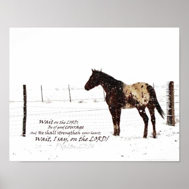 Hivernal Horse & Ecriture Poster 11x14 Matte (Devant)