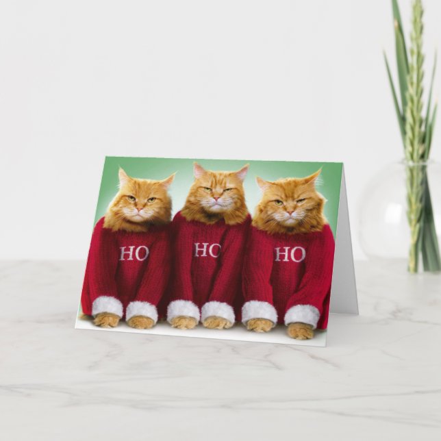 Ho Ho Ho Trois Chats Joyeux Noël Carte de voeux (Devant)