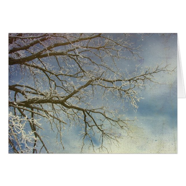 Hoar Frost, Bonne Année ! (Devant horizontal)