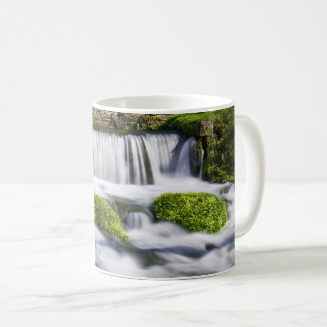 Hodgson Spring Falls Coffee Mug (Devant droit)