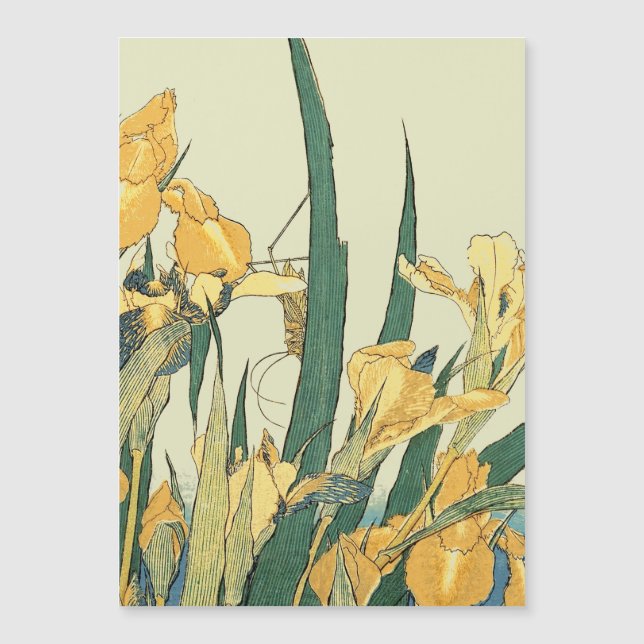 Hokusai Sauterelle Iris Impression Vintage : Japon (Devant)
