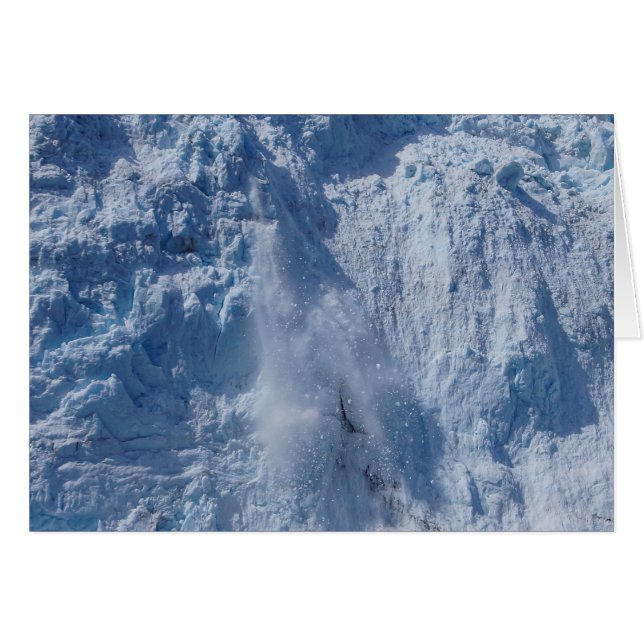 Holgate Calving Action (Devant Horizontal)