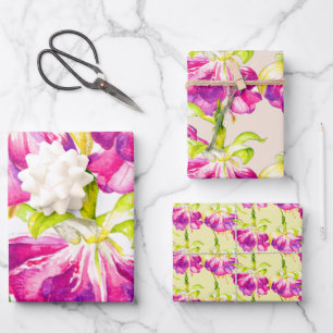 Holi sur un jeu de papier d'enveloppement