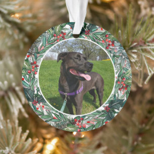 Holiday Dog ou Cat One Photo Pet