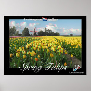 Holland Spring Tulips Paysage 3D Anaglyph Poster