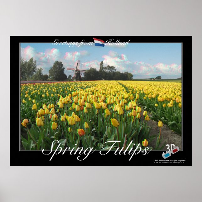 Holland Spring Tulips Paysage 3D Anaglyph Poster (Devant)