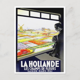 Holland tulips voyage vintage Carte postale