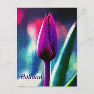Hollande, Carte Postale de Tulipe Violette en Fleu