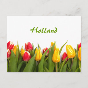 Hollande, Carte postale du jardin de la tulipe de