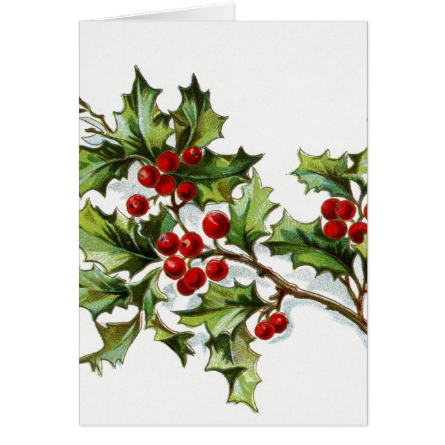Holly Berries 002 (Devant)