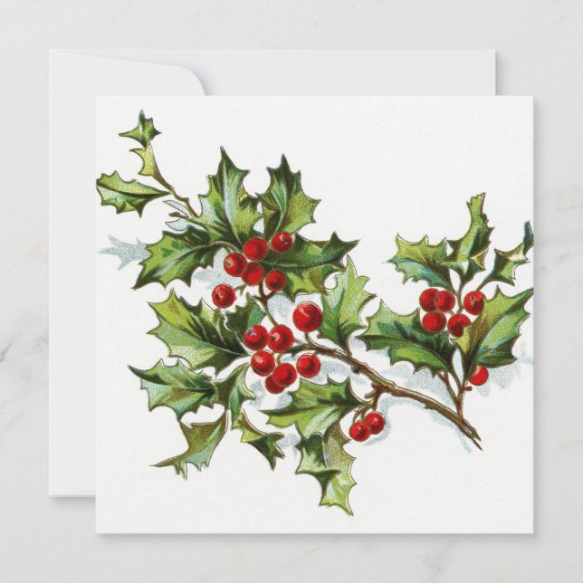 Holly Berries 002 (Devant)
