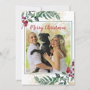 Holly Berries Floral Botanique Photo Noël