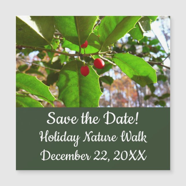 Holly Feuilles II Vacances Nature Botanique (Devant)