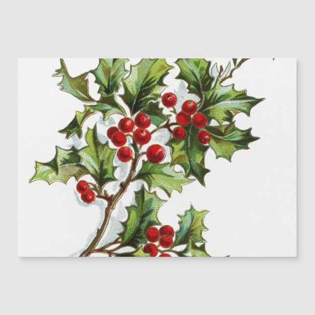 HollyBerries20150802 (Devant)