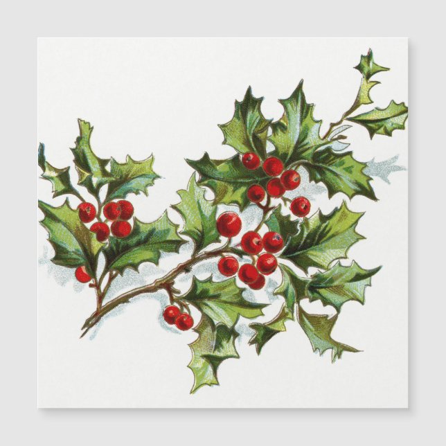 HollyBerries 001 (Devant)