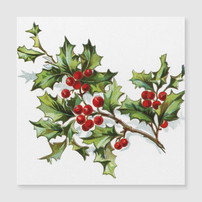 HollyBerries 002 (Devant)