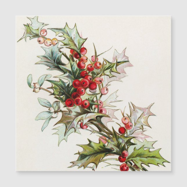 HollyBerries 004 (Devant)