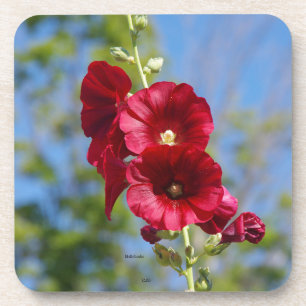 Hollyhocks ensemble de 6 dessous de verre en plast