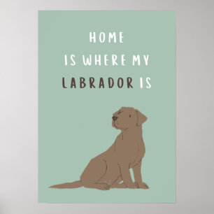 Home Is Where My Labrador Is Poster
