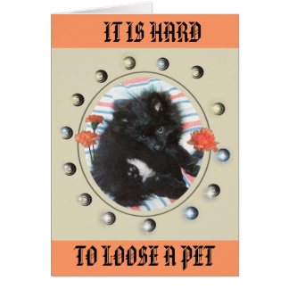 HOMMAGE À MON MINDY