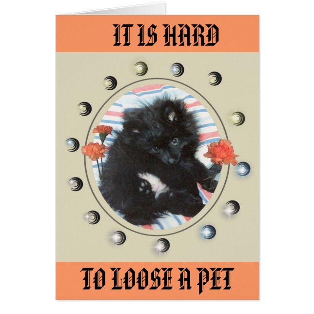 HOMMAGE À MON MINDY (Devant)