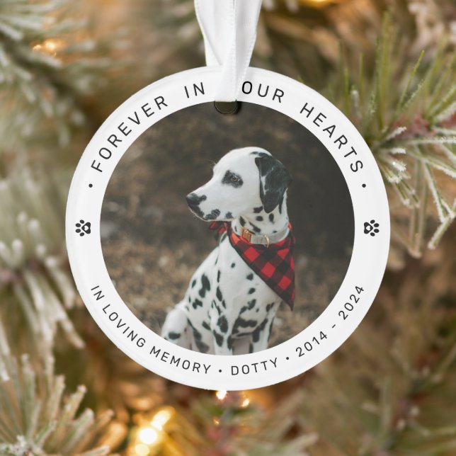 Hommage commémoratif en souvenir d'un animal de co (Arbre)