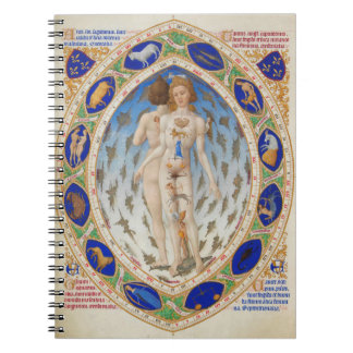 Homme anatomique - Carnet