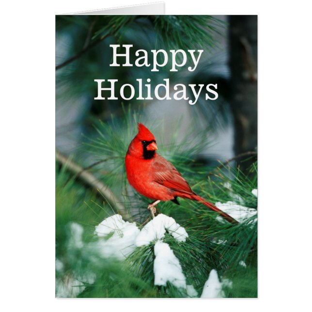 Homme du Cardinal du Nord sur l'arbre, IL (Devant)