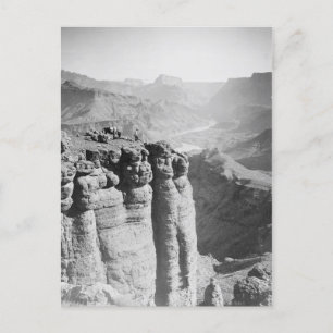 Homme et âne à la carte postale Grand Canyon