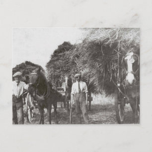 Hommes au travail Vintage noir et blanc - Carte po