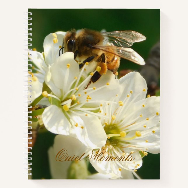 Honey Bee on White Plum Blossom Journal (Devant)