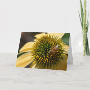 Honey Bee sur la carte de voeux du Conflower