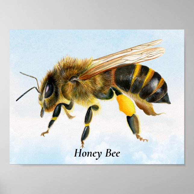 Honey Bee Watercolor Painting Poster (Devant)