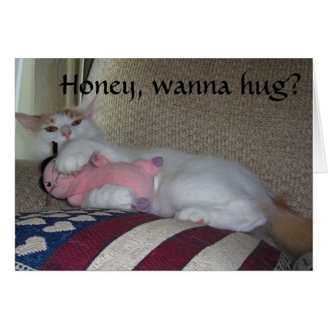 HONEY, WANNA HUG ? OU QUELQUE CHOSE D'AUTRE ? (Devant horizontal)