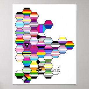 Honeycomb LGBT Pride Flag Poster