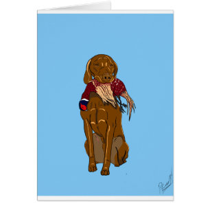 Hongrois Vizsla