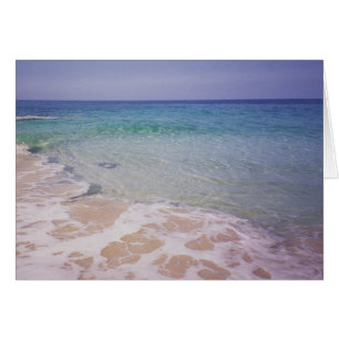 Honu à la plage d'a'Loa de La